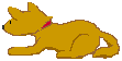 ���X