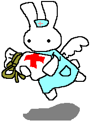 �������Ō�t